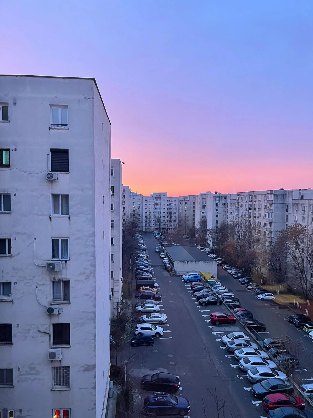 49A7DE43-AFEB-4F46-B70E-25F5A6141D7B.JPG