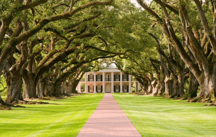 Oak Alley Plantation Tour - Gray Line Tours