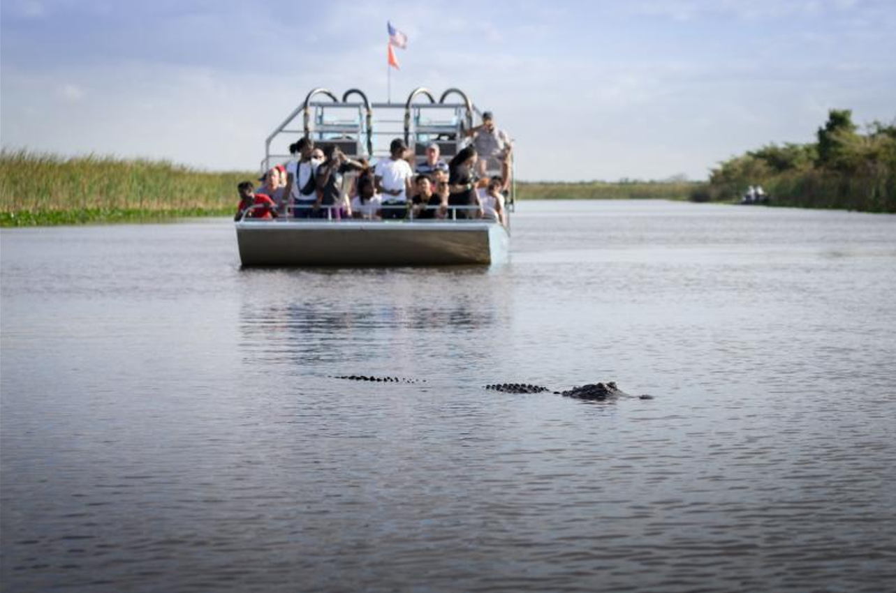 Swamp Tours