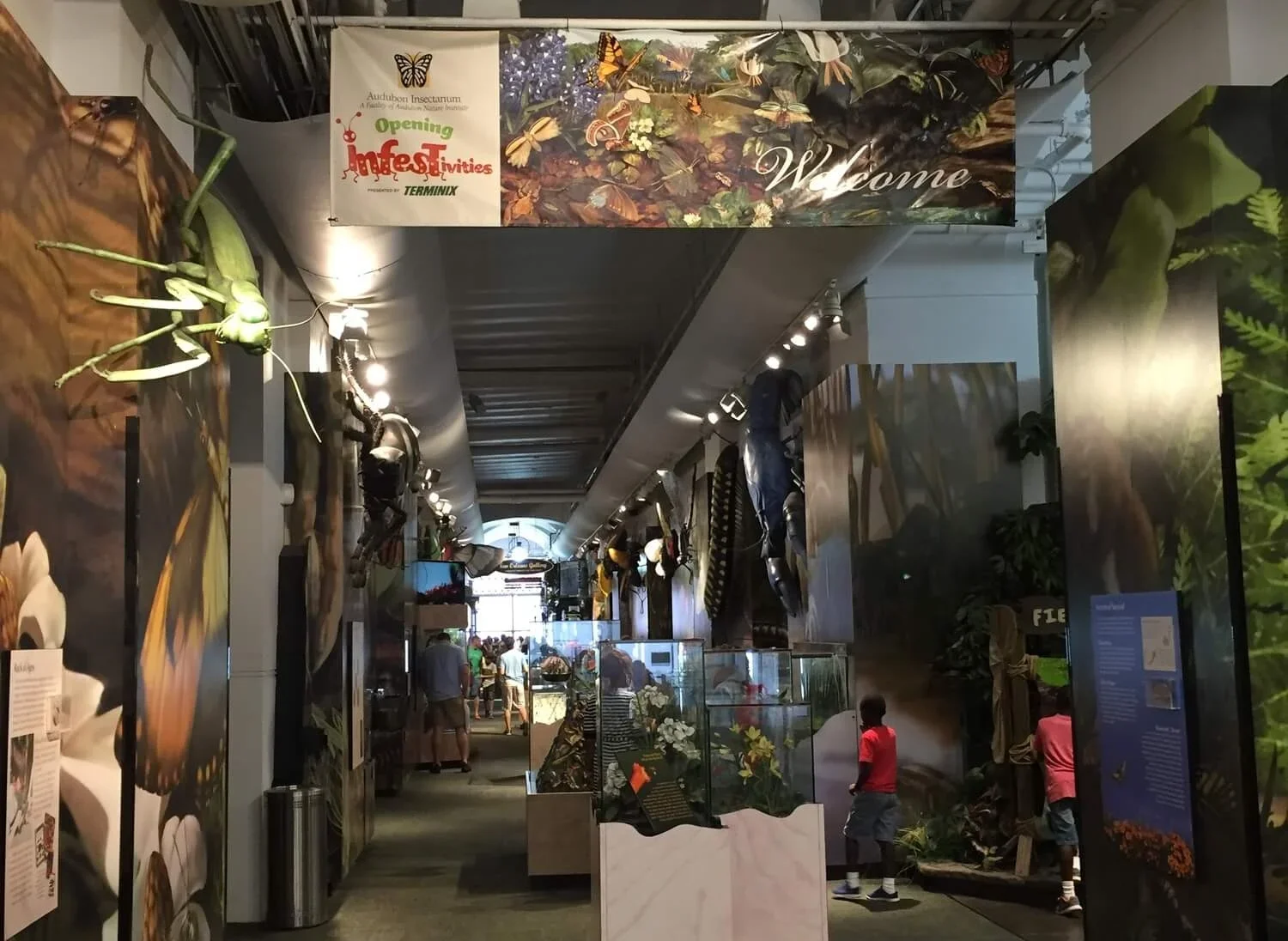 4-Day Family-Friendly New Orleans Itineary