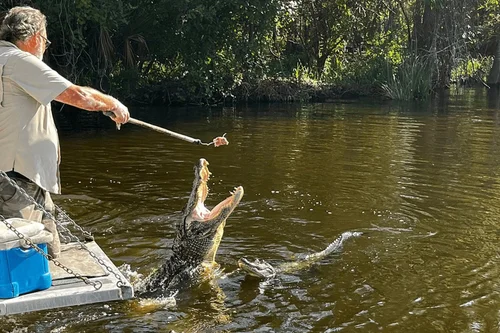 19. Nola BAYOU TOUR
