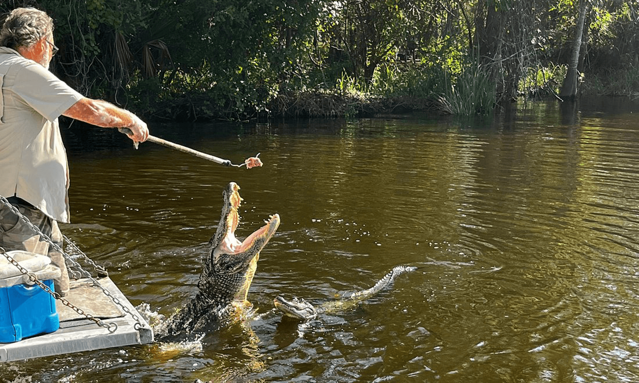 NOSC_Gray Line_Swamp Tour_3 (1).png