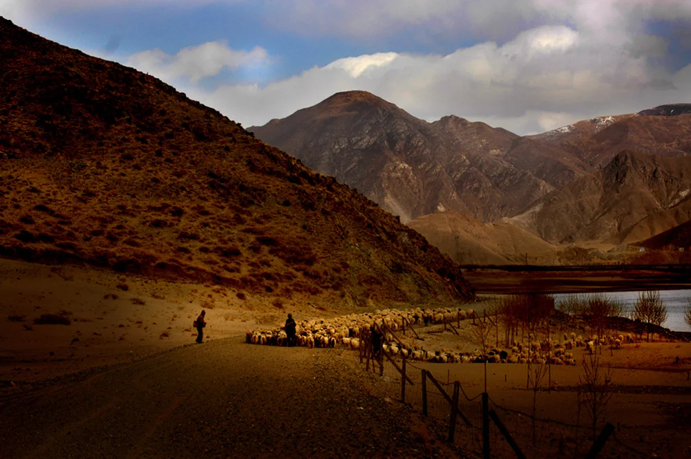 TIBET HERDERS.jpg