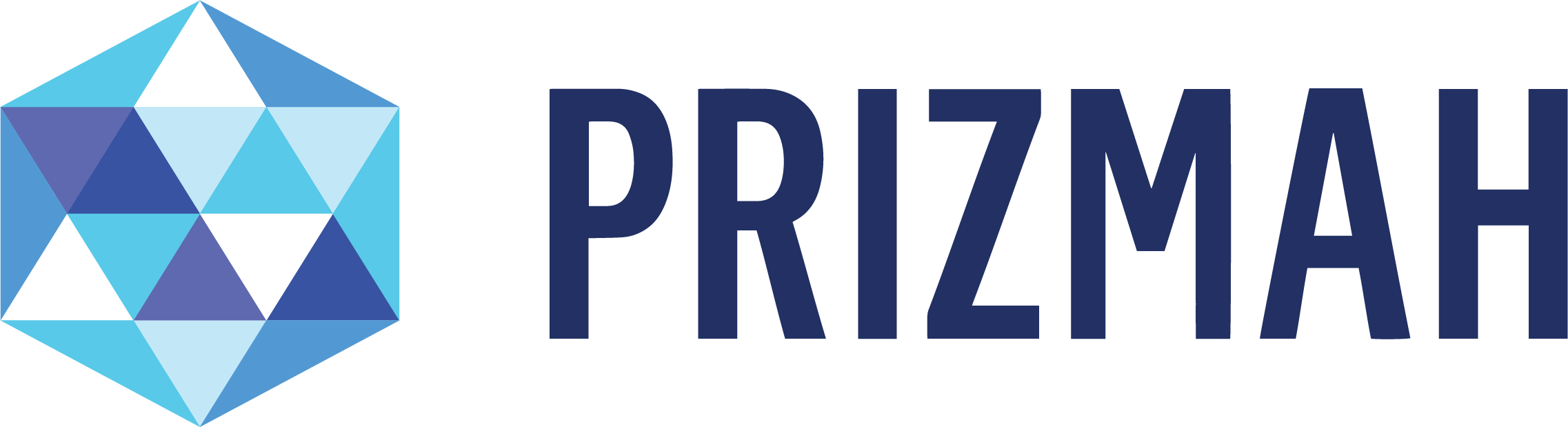 Prizmah_Logo_2026_2274x619.png