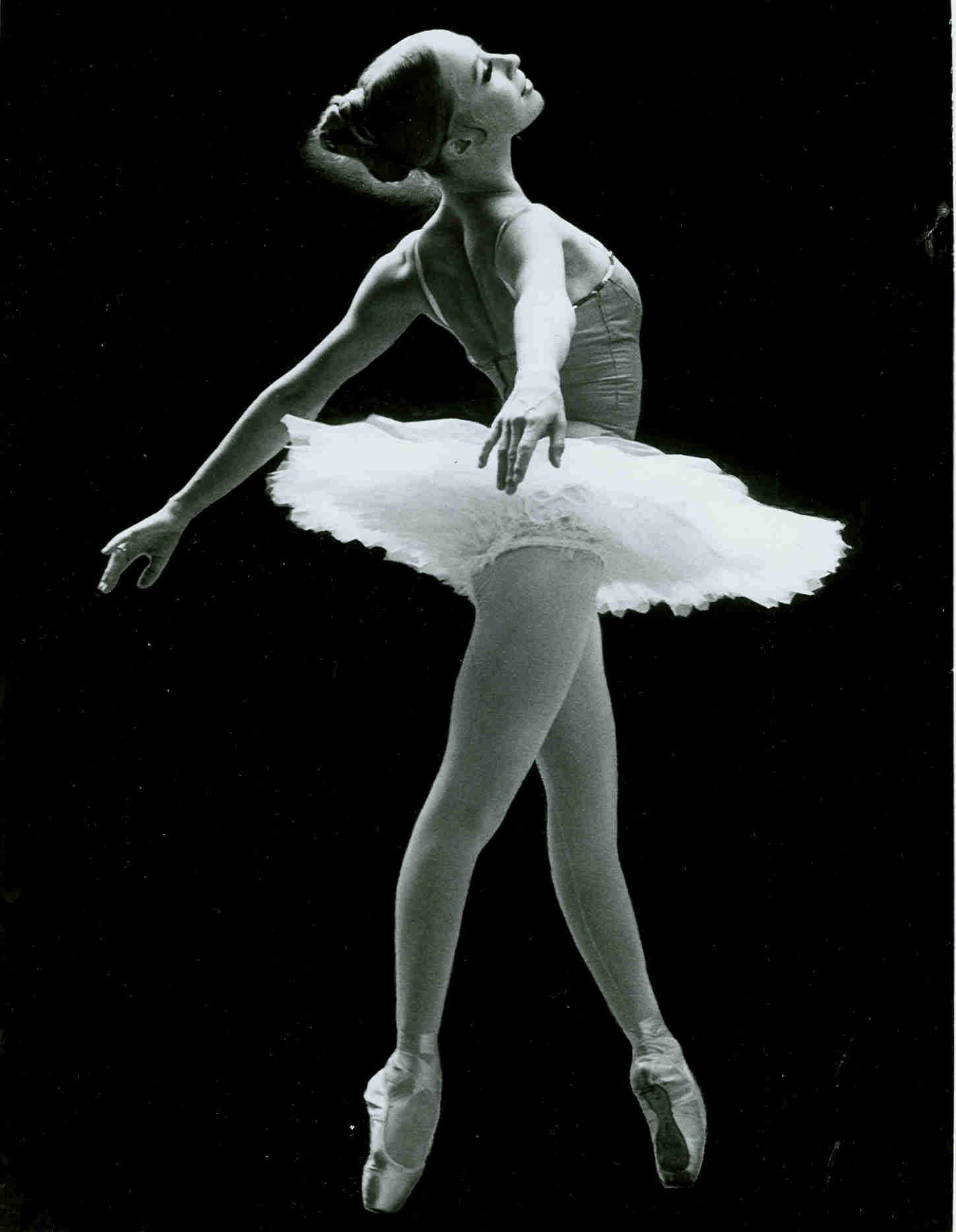 Tutu Example 1