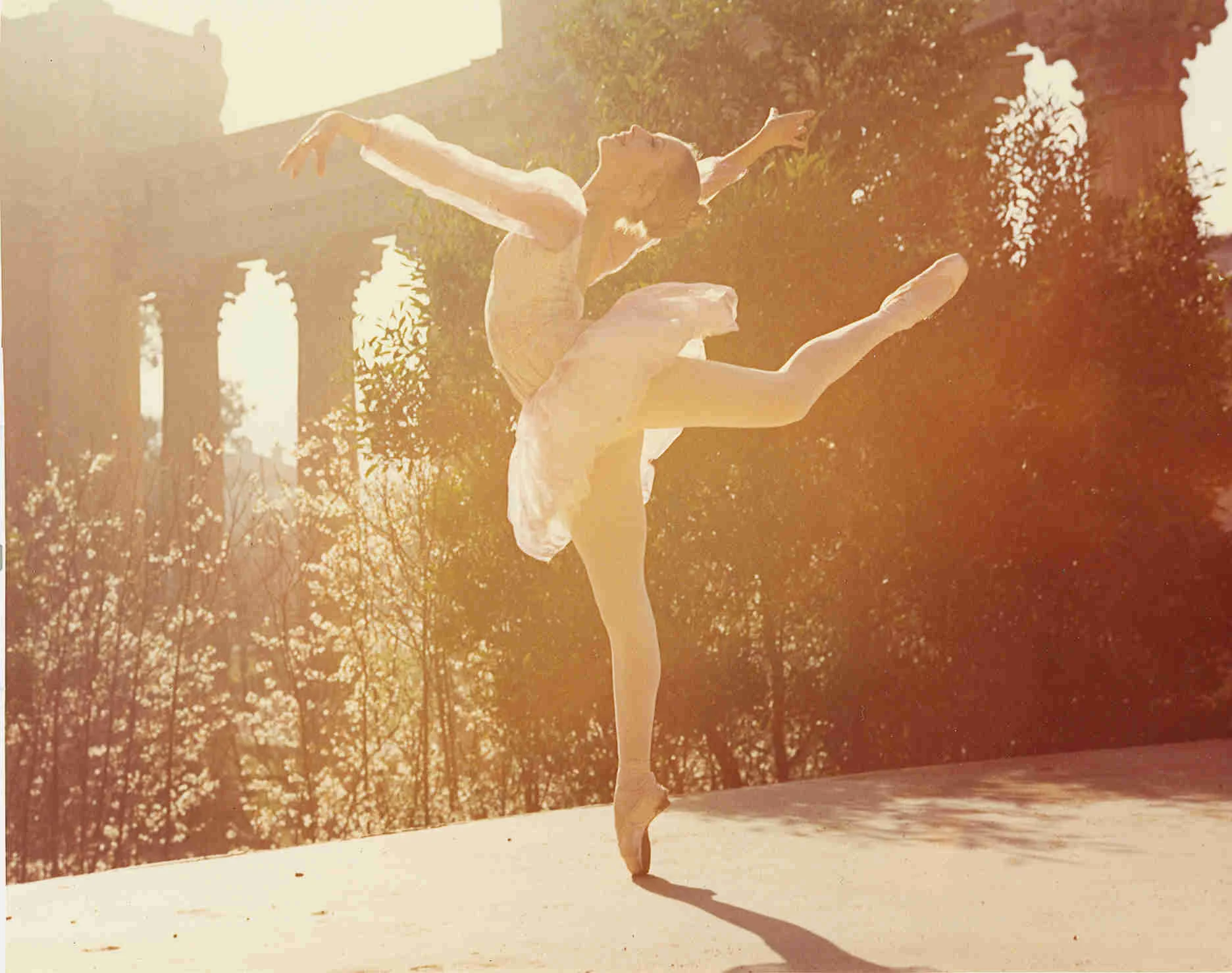 Gallery 6 - Photo 23