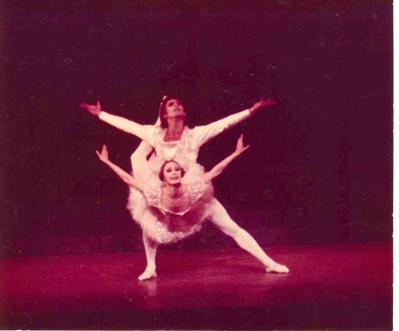 Gallery 8 - Photo 01