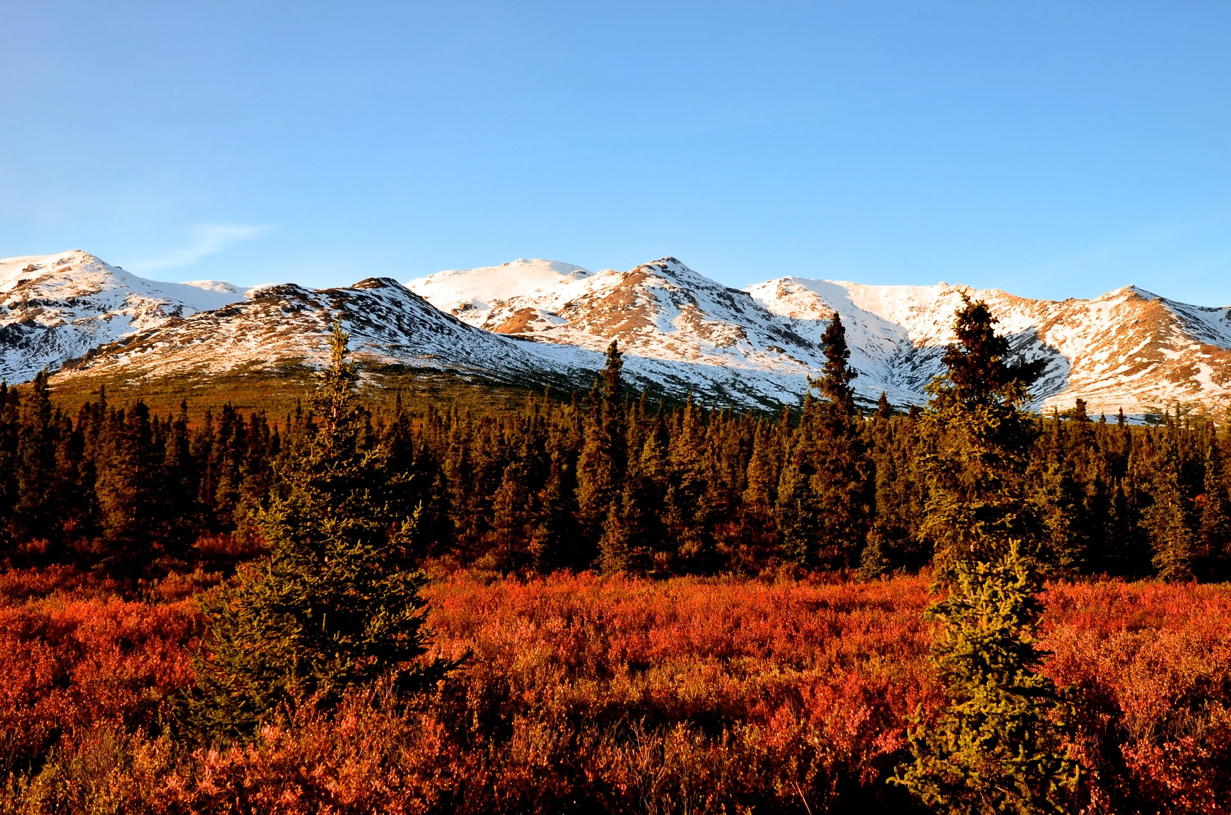 Alaska