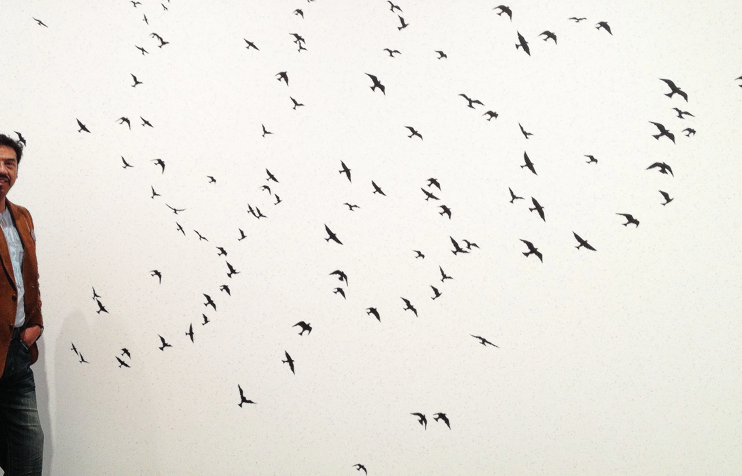everbird.jpg