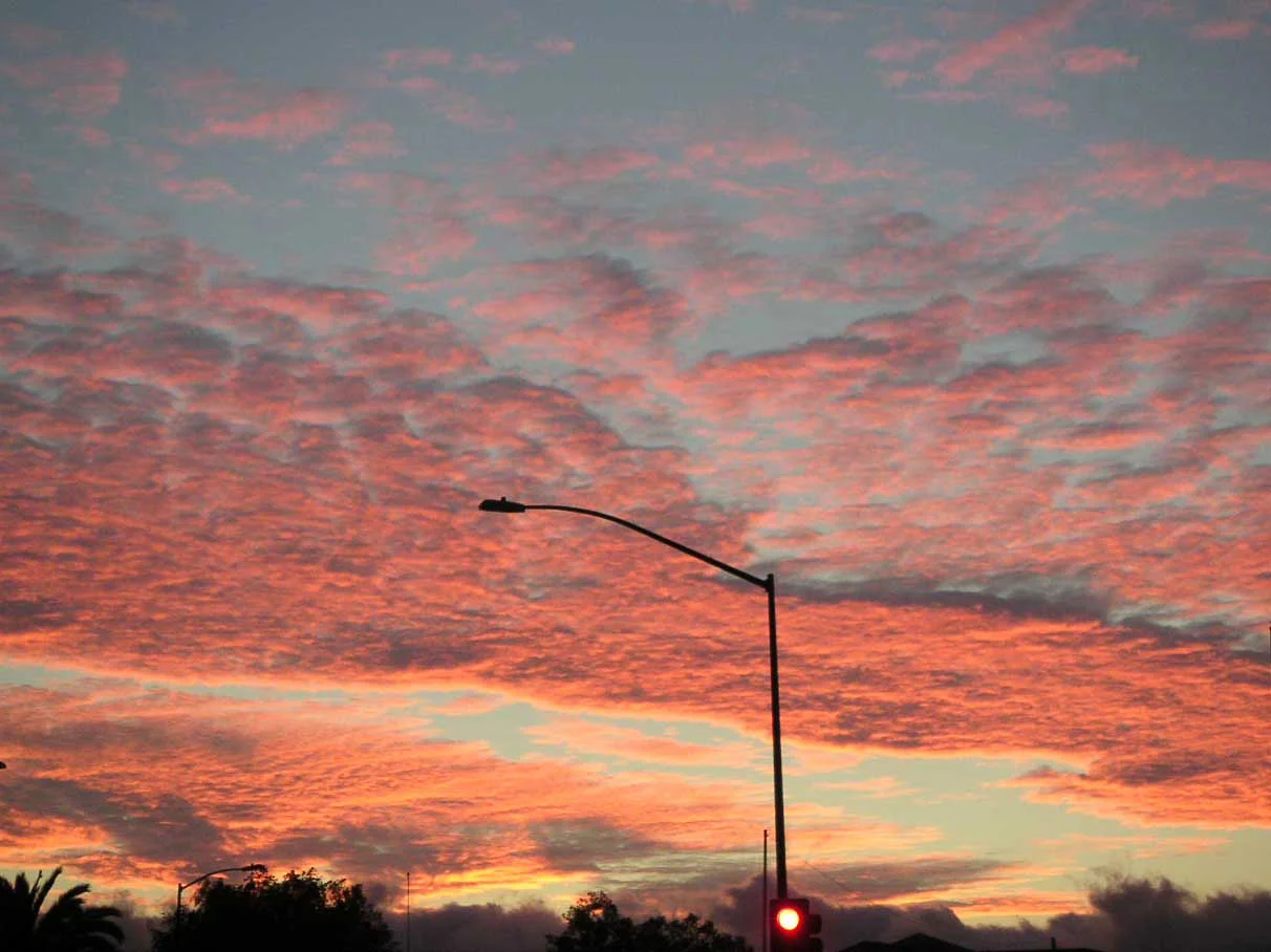 redlight1.jpg