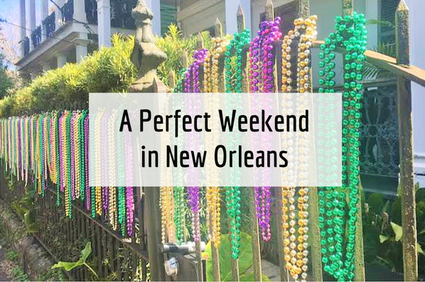 nola12.png