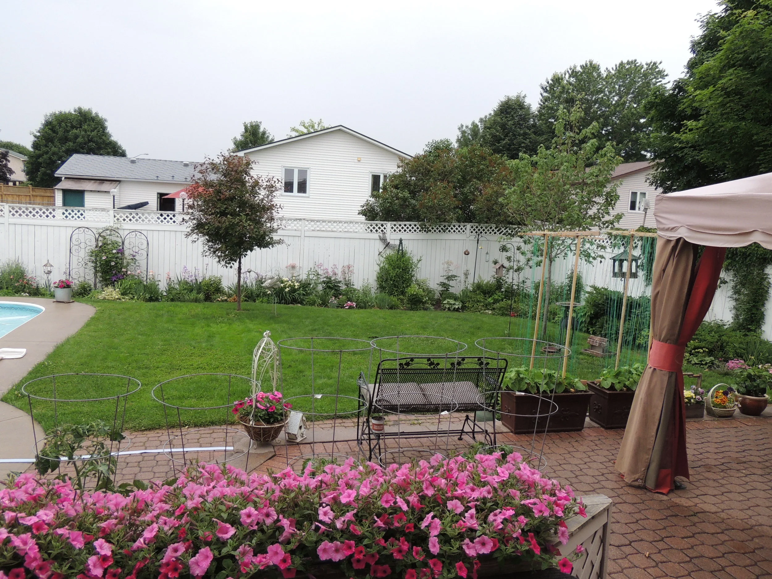 DSCN1984.jpg
