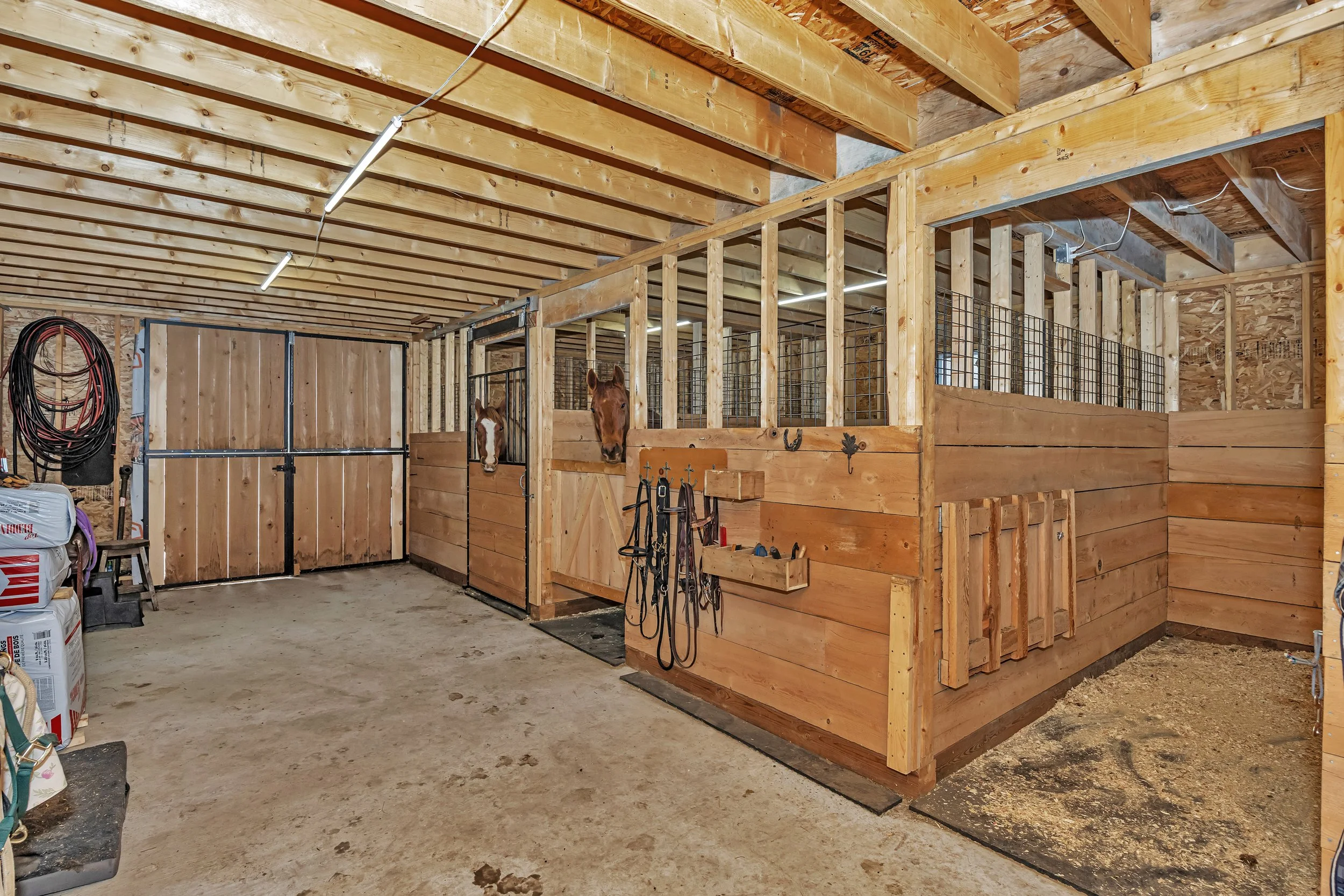 Image_53.jpg