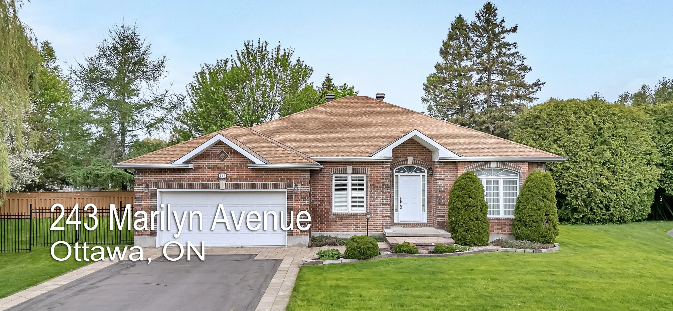 Rob Marland Header.jpg