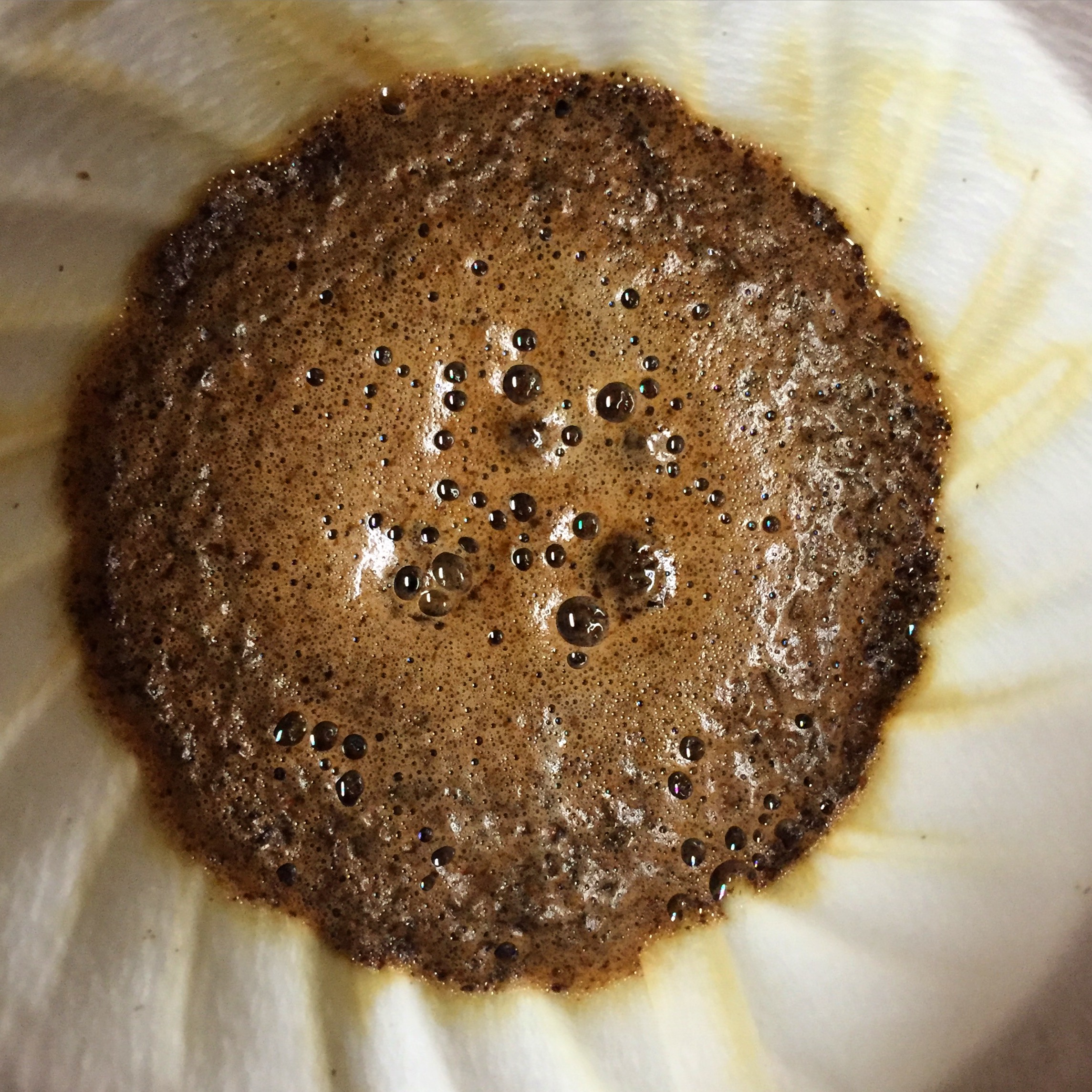 V60.JPG