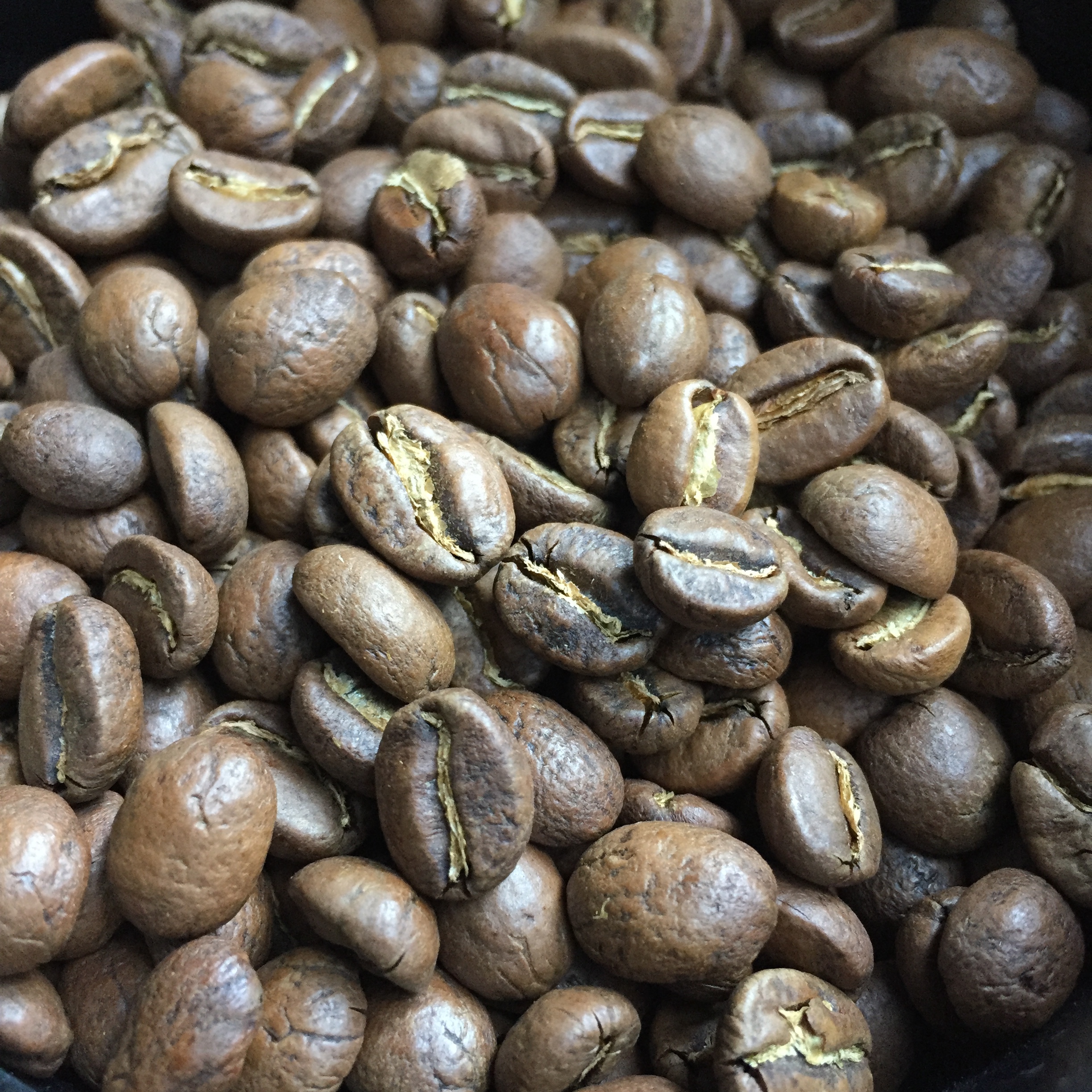 Heart Coffee Roaster Colombia El Hato beans.JPG