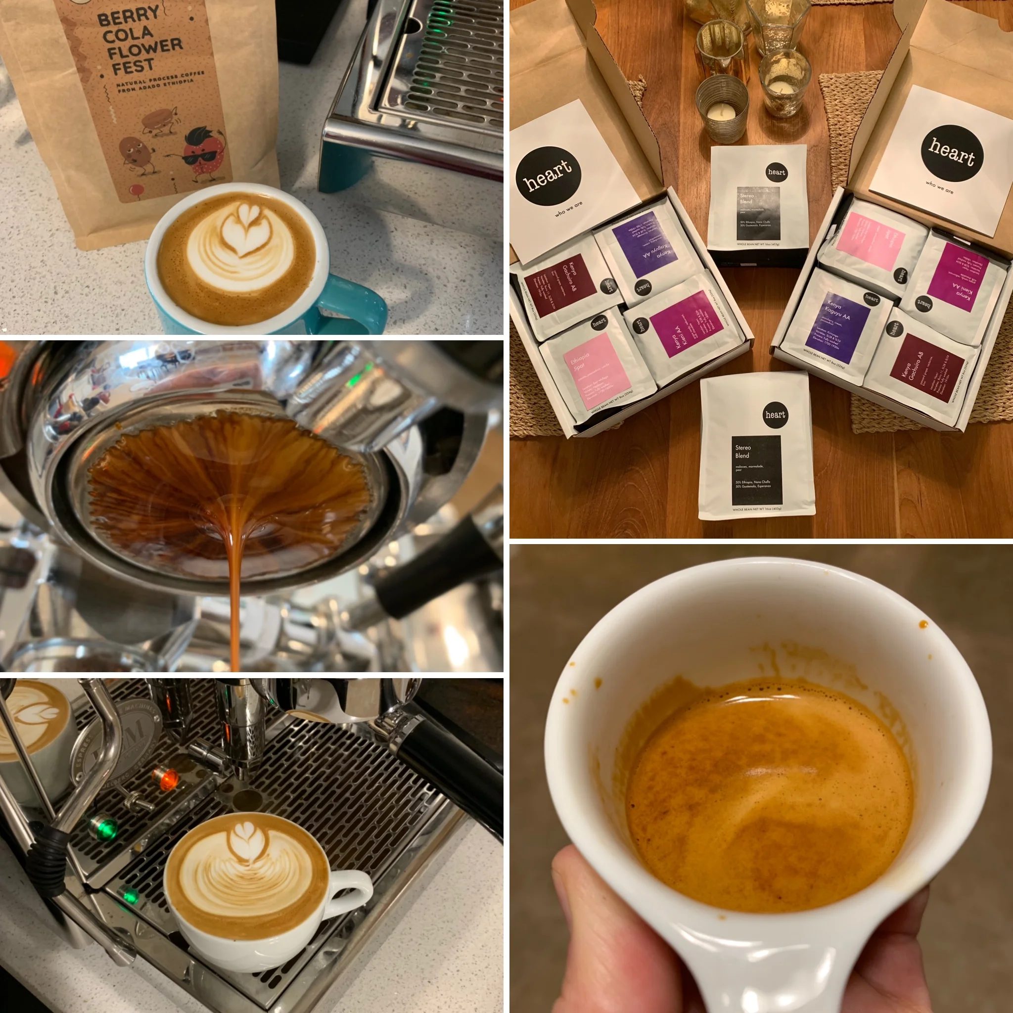December 2018 Collage.jpg