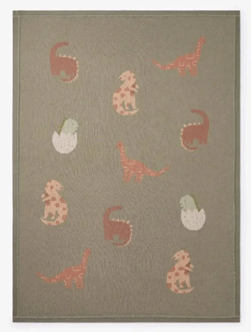 Dinosaur Blanket
