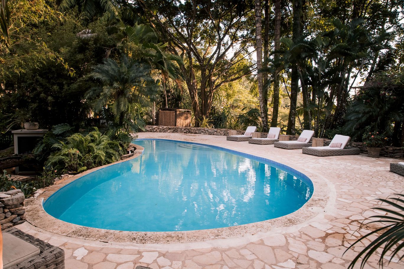 Jungle Suite Pool.jpeg