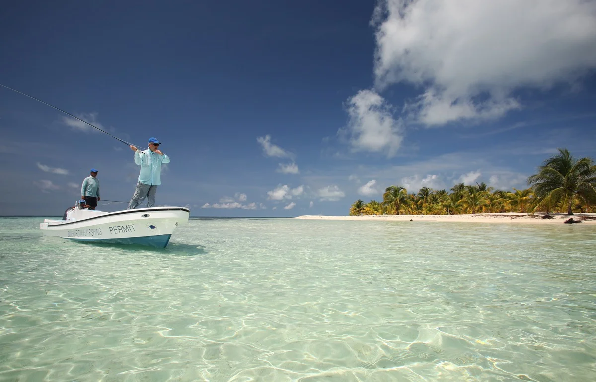 T Cay 17aaa 72 1200.jpg