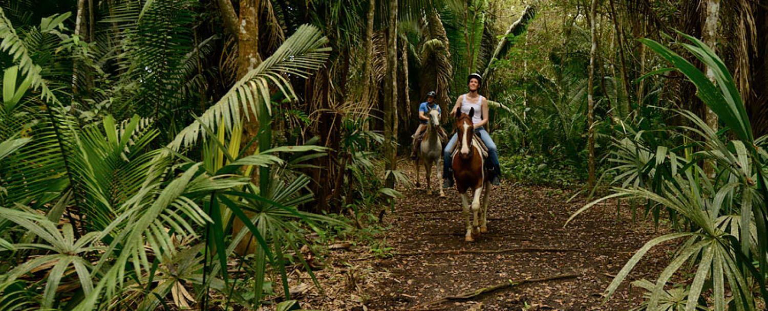 horseback riding.jpg