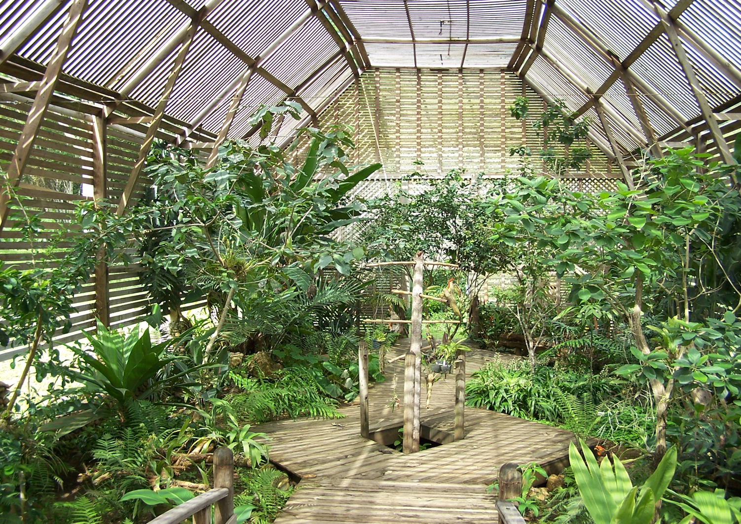 orchidhouse2.png
