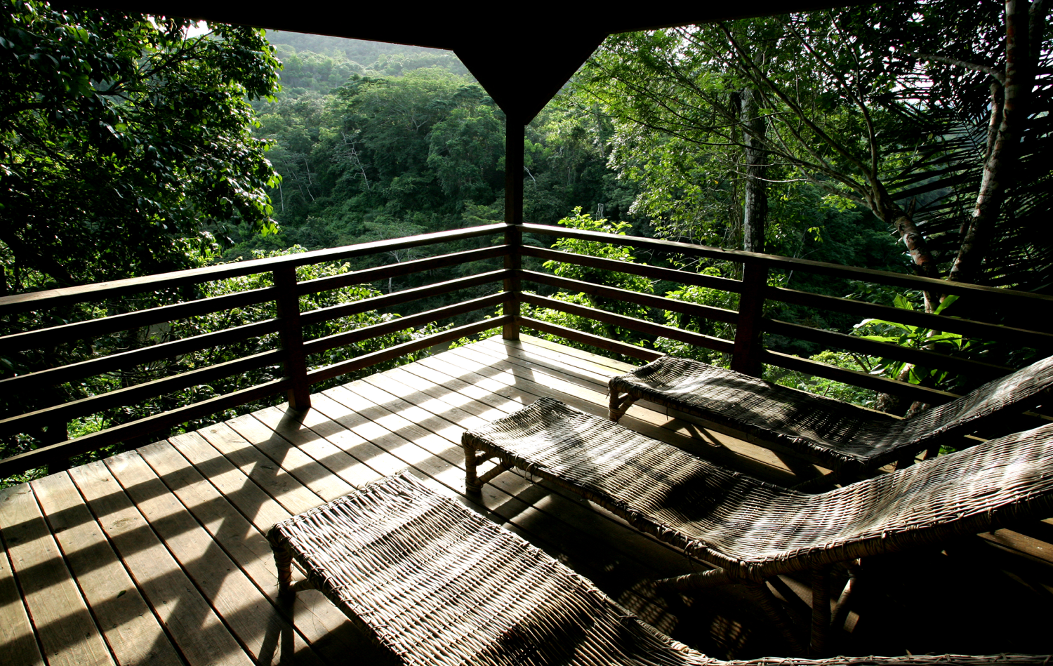 Copy of canopy view.png