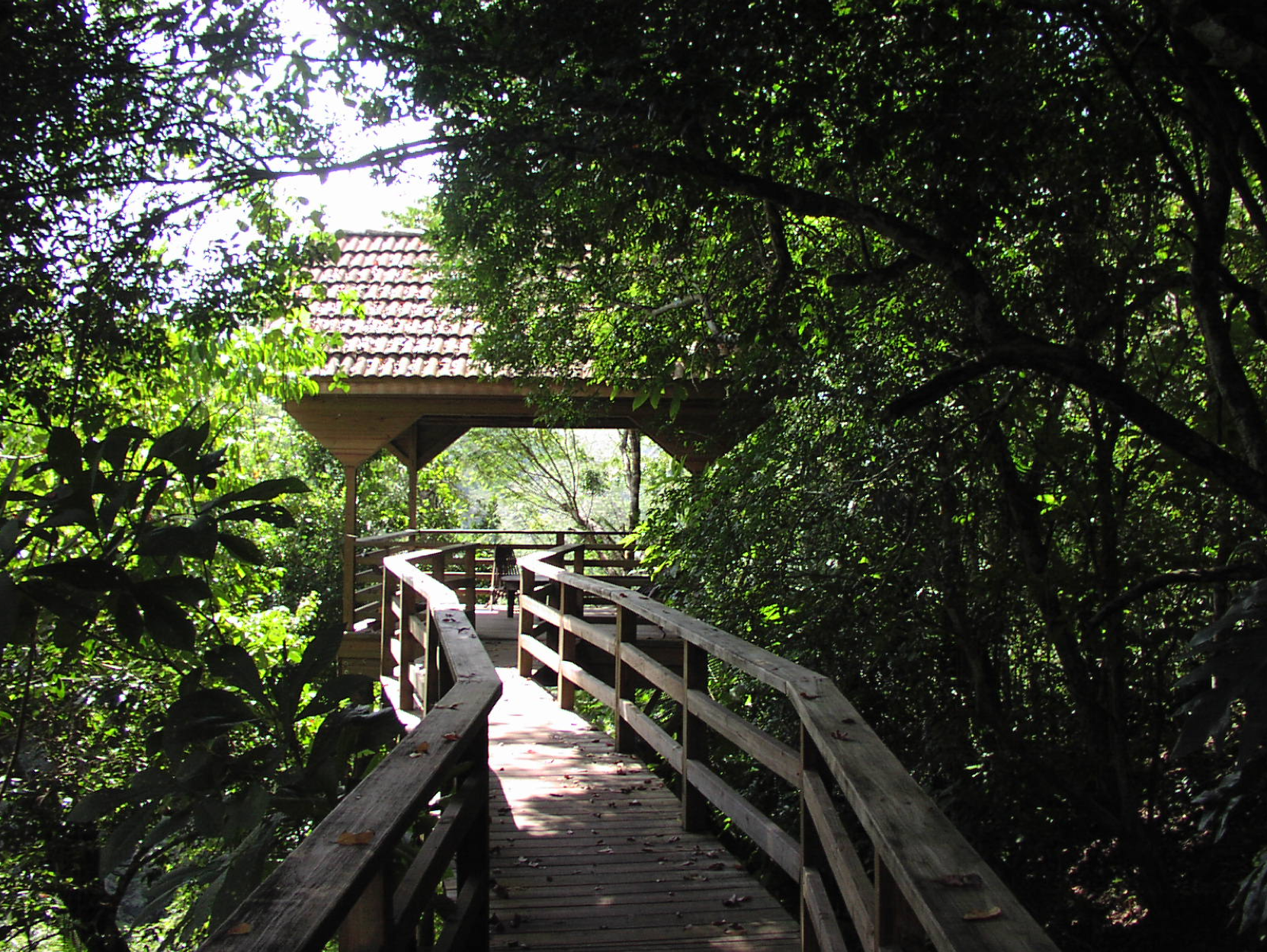 canopy bar walkway 2.png