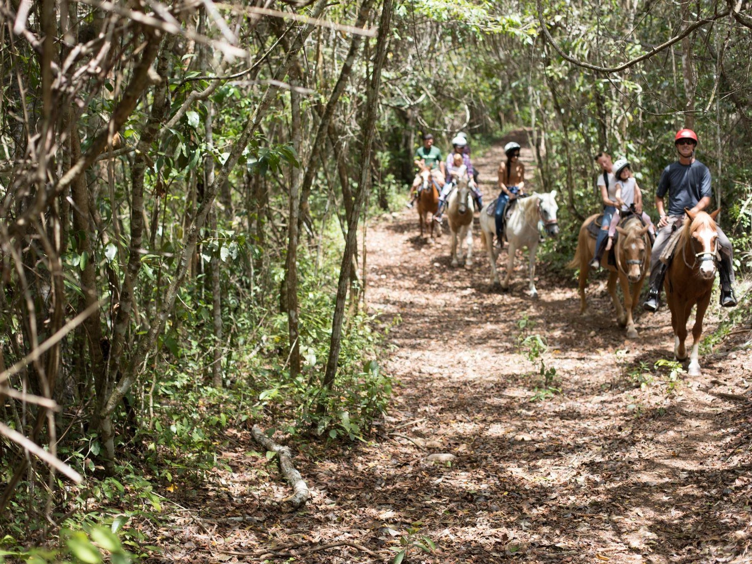 2190417sssbz00_horse-back-riding-1071.jpg