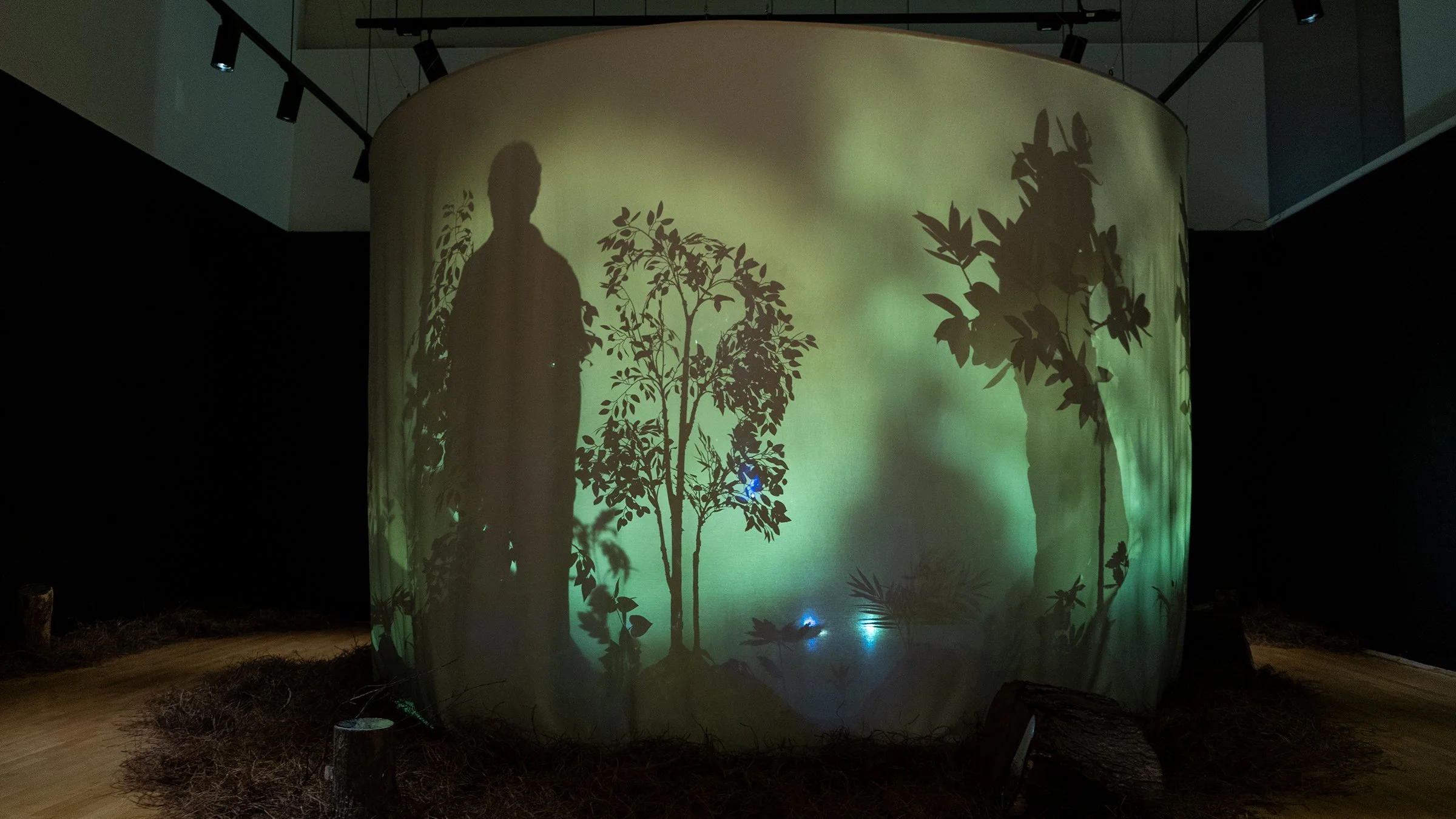 preview3 - Jill Stauffer.jpeg