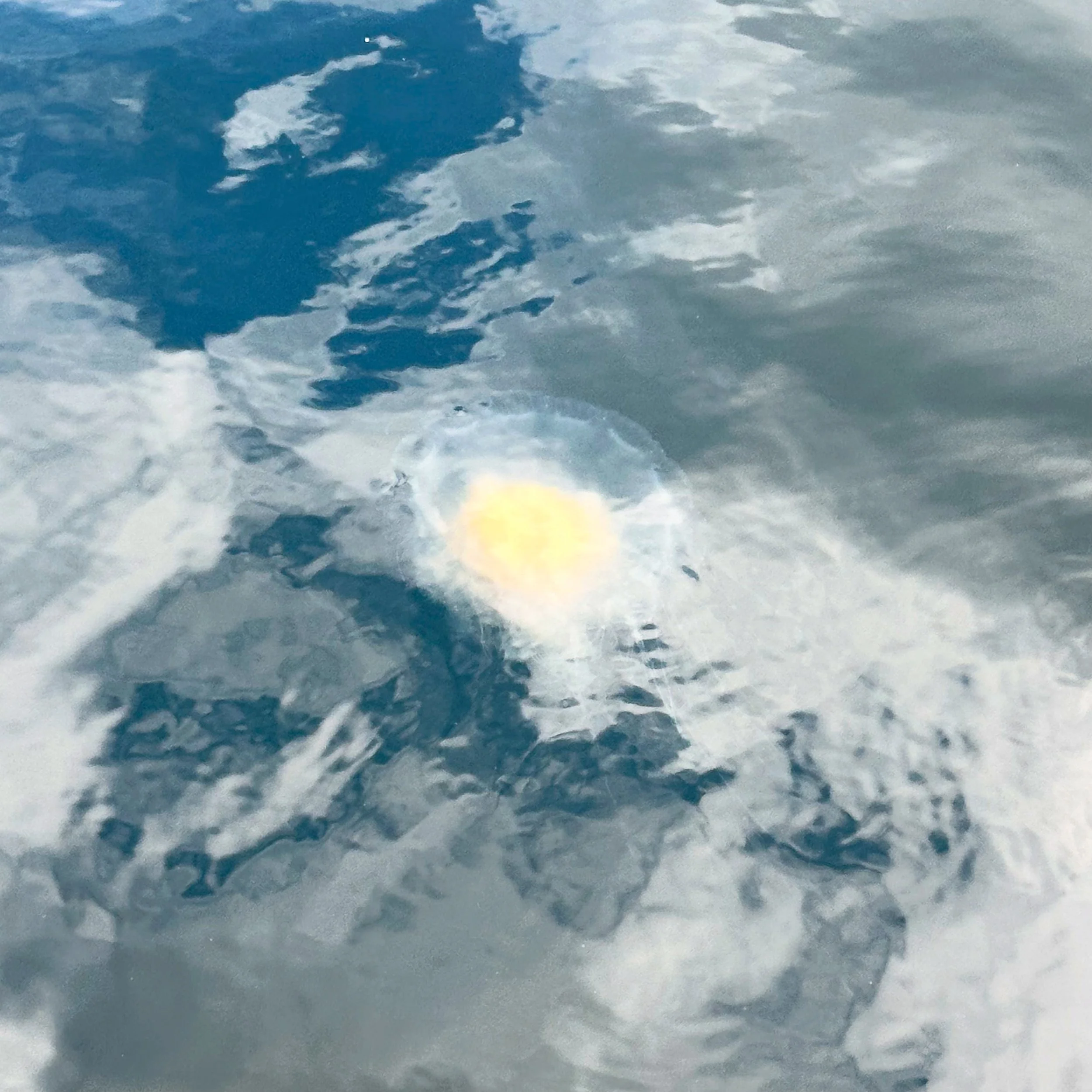 08783A6D-1144-415C-BC58-93E320EDC64B - Rick Ruggles.jpg