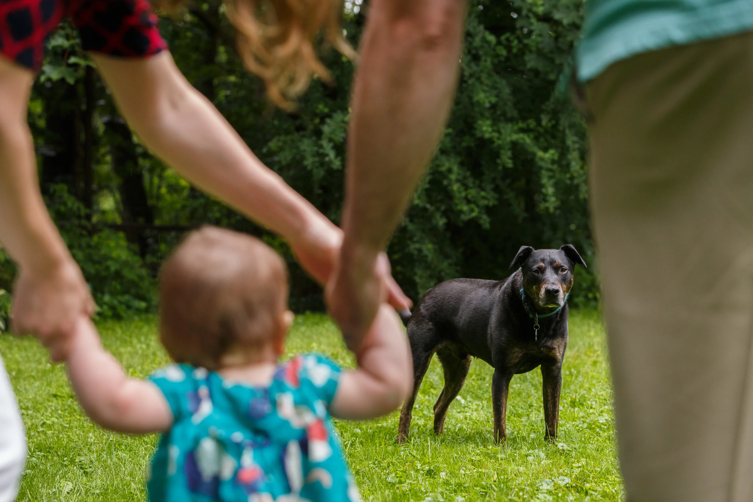 118_shelburne_burlington_vermont_documentary_family_session_maine_family_photographer_whitney_j_fox_1256.JPG