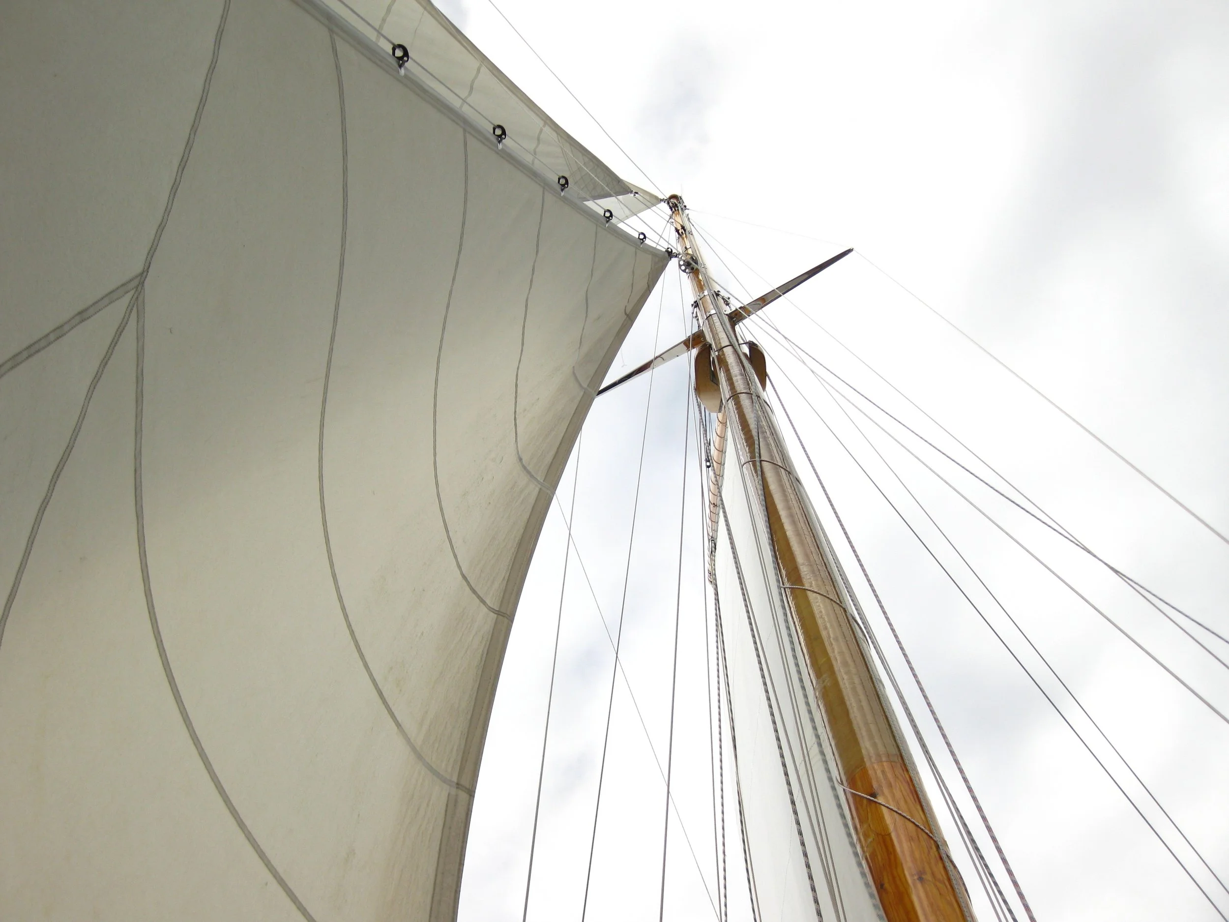 sail-978555.jpg