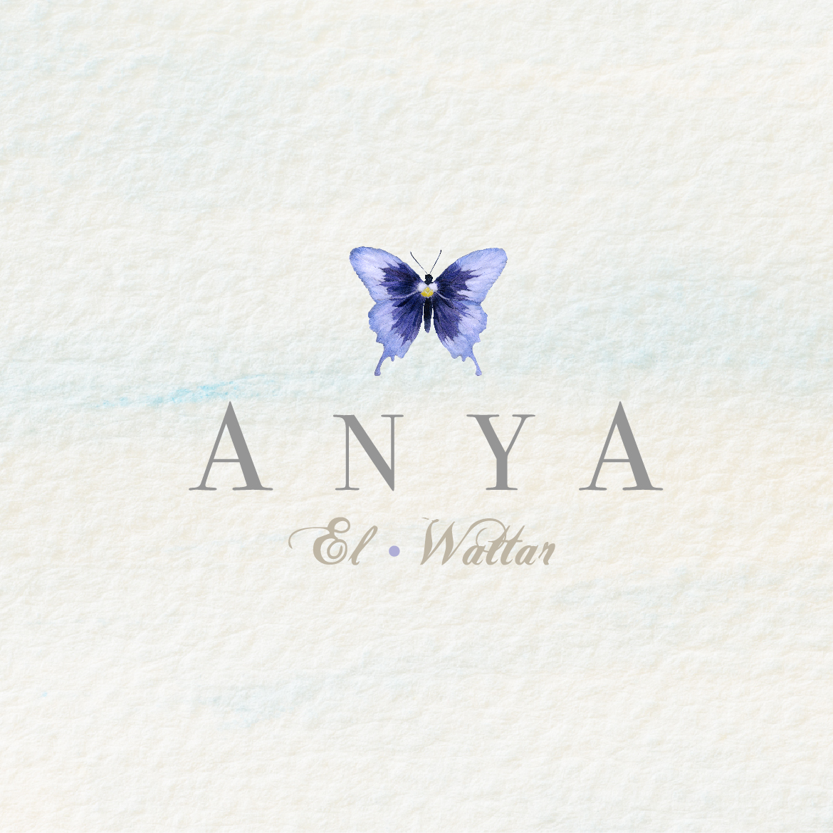 AnyaBox-01.jpg