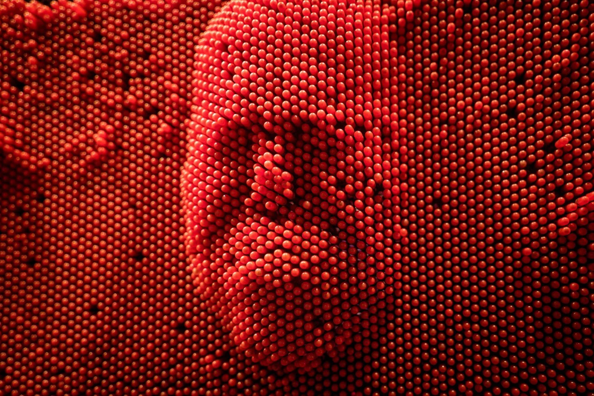 11703481_10207027180533438_2260394782687336303_o.jpg
