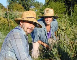 This photo is from their Community Garden near the UCD Student Farm on the UCD Campus.
