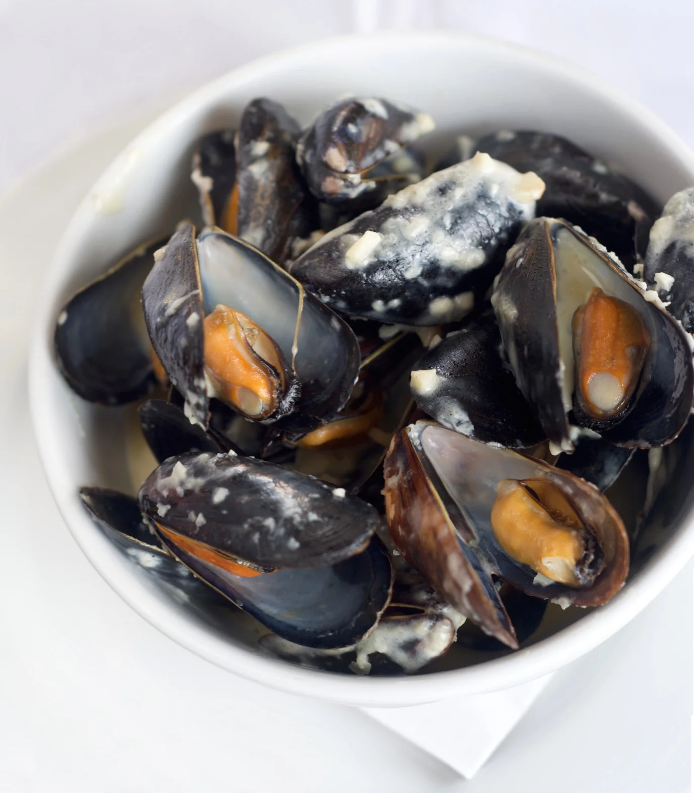 musslesPANO4.jpg