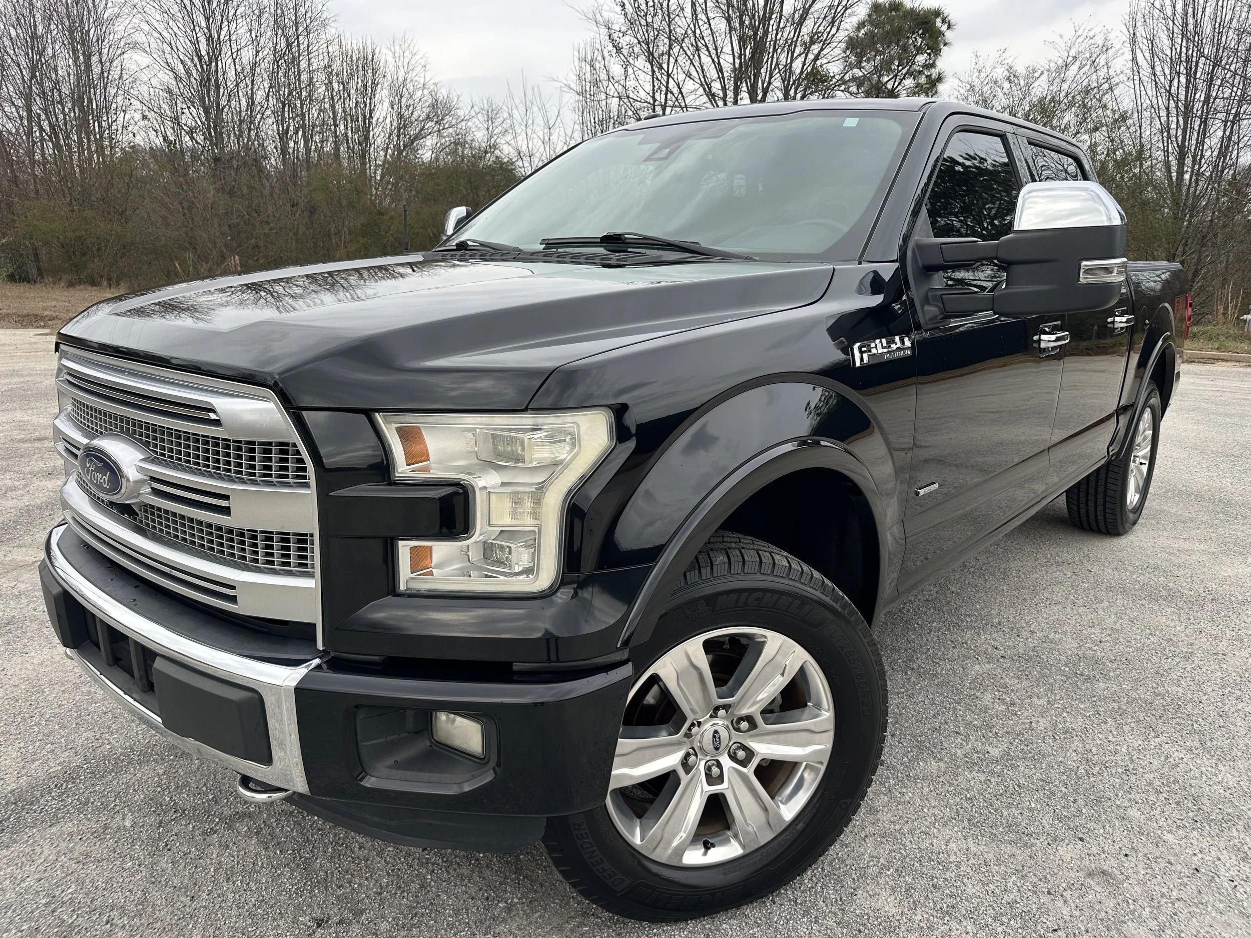 2016 Ford F-150 Platinum's photo