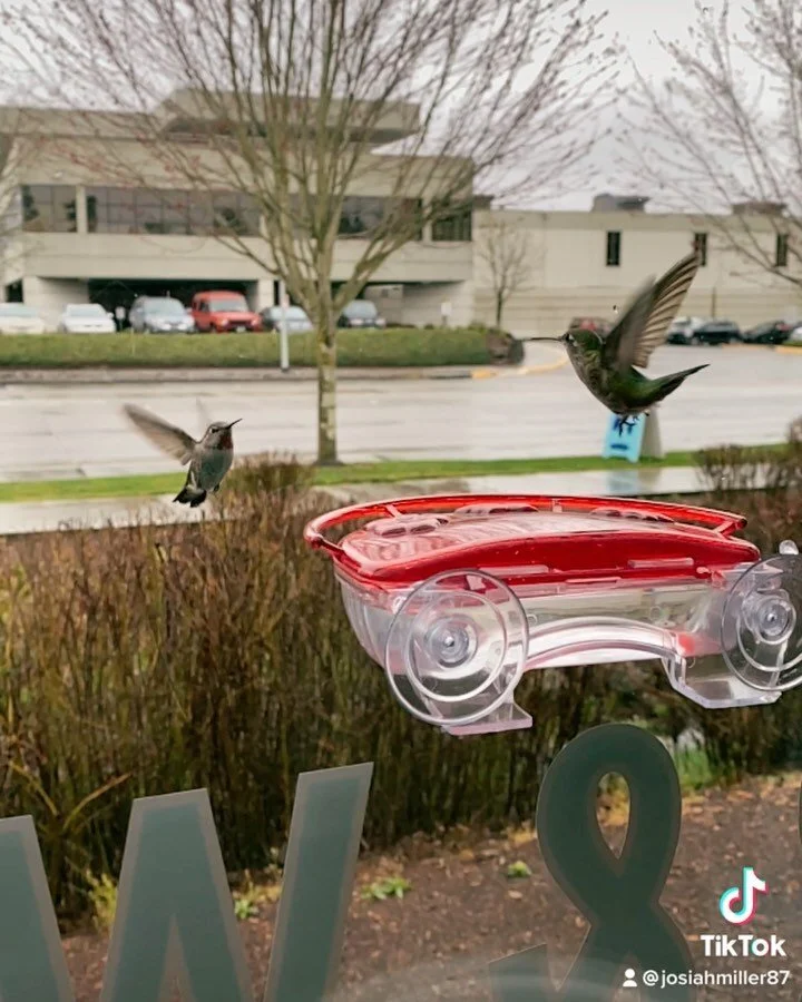 Sauvie Island Coffee Co. Portland, OR Organic, birdfriendly coffee