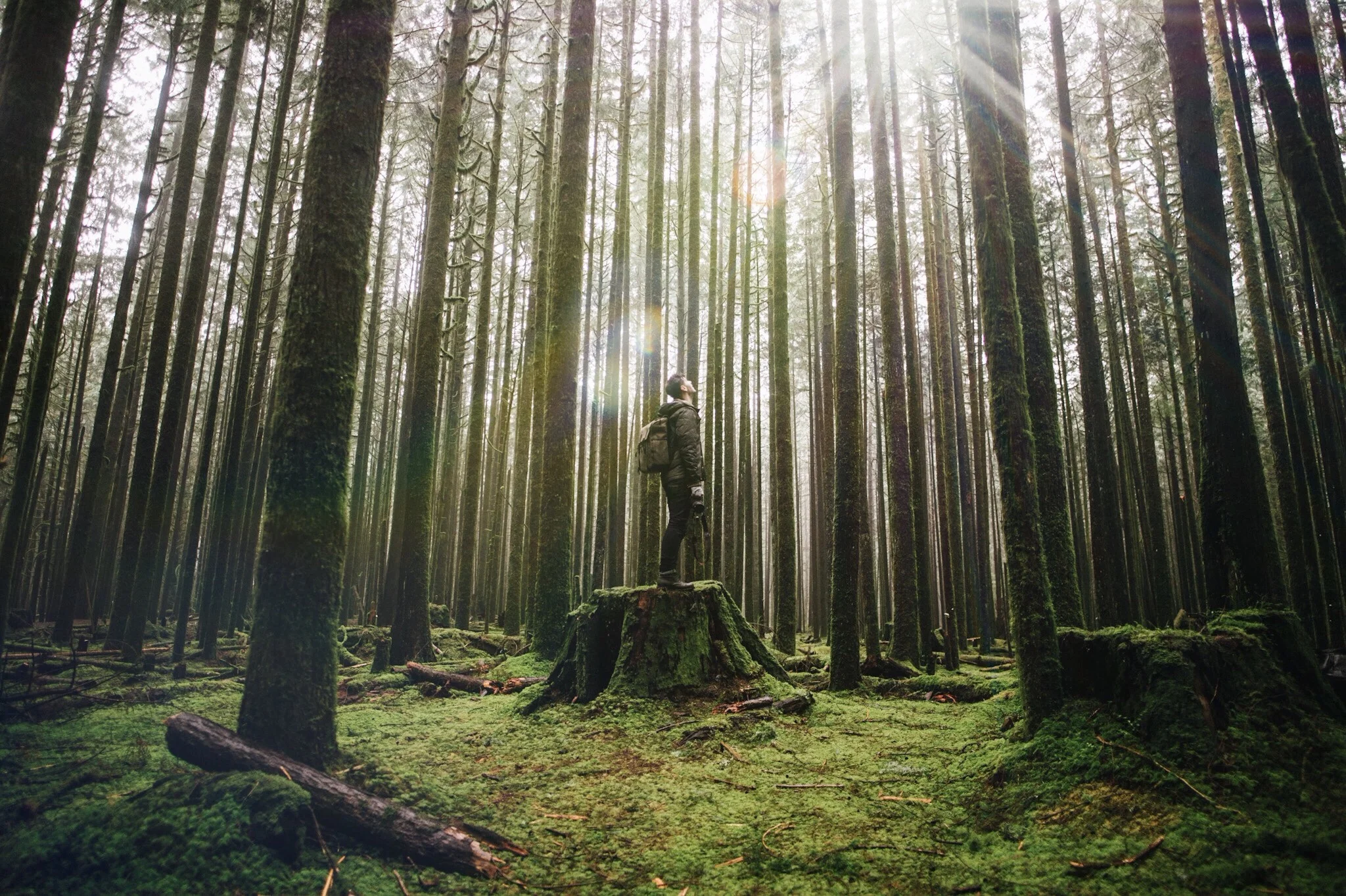 Golden Ears, Vancouver BC. Photo by @tannerwendell