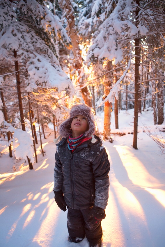 In awe of morning light in New Brunswick.