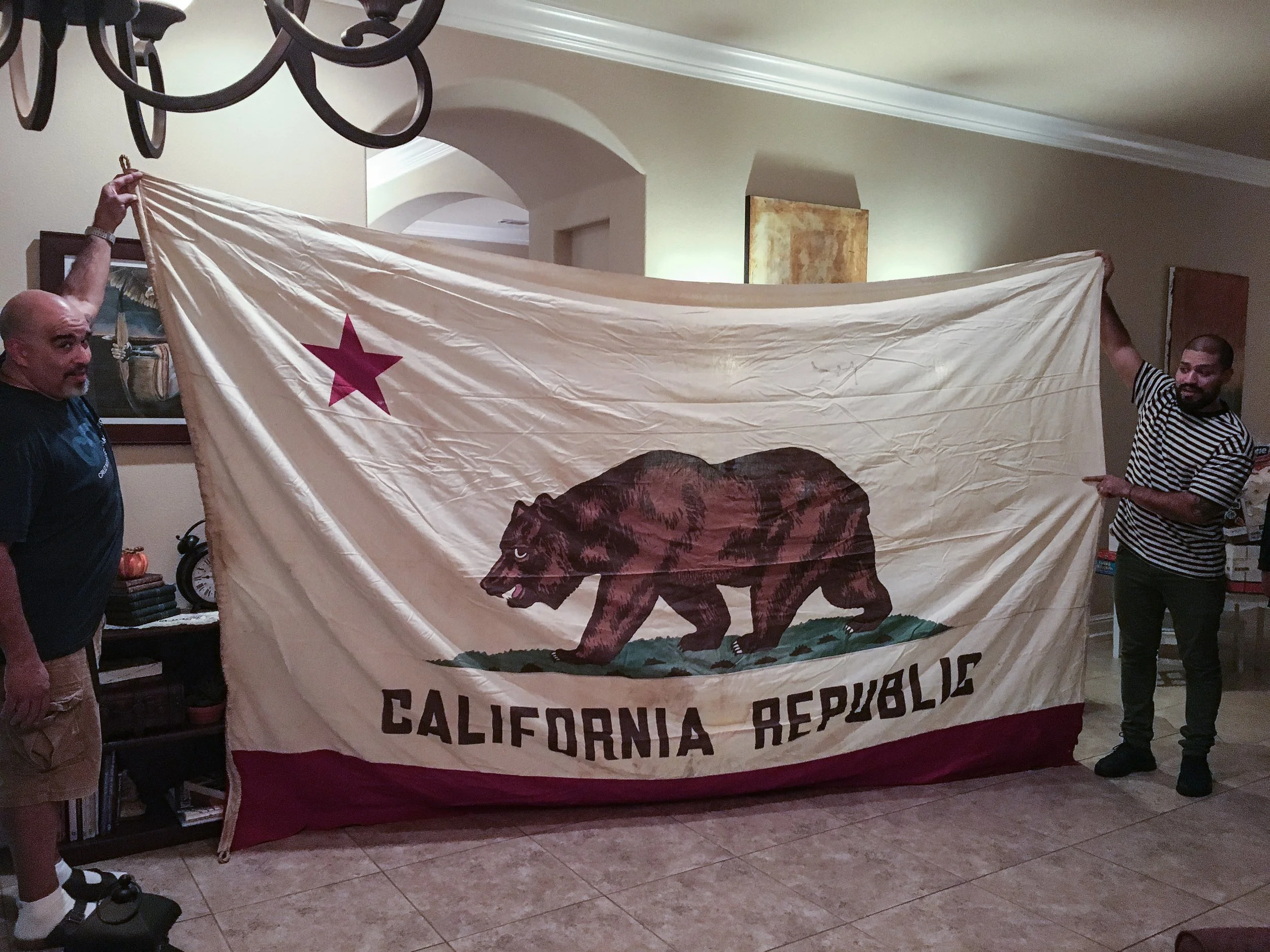 The California State Flag.
