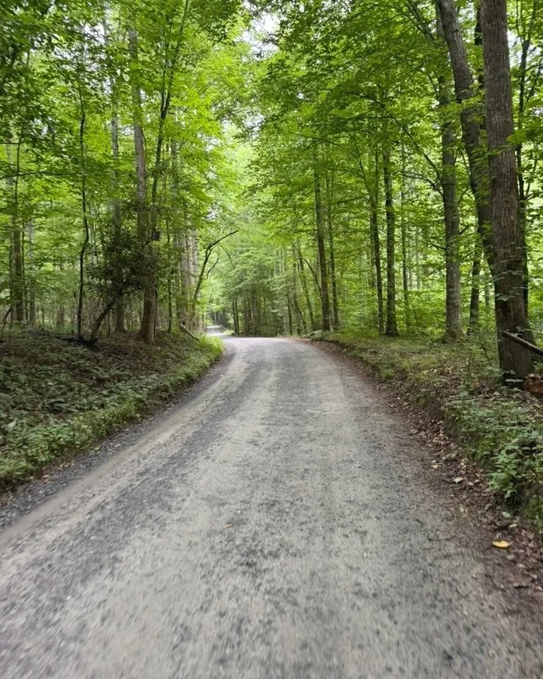 Graphic Design Services Near Lake Lure, NC and beyond