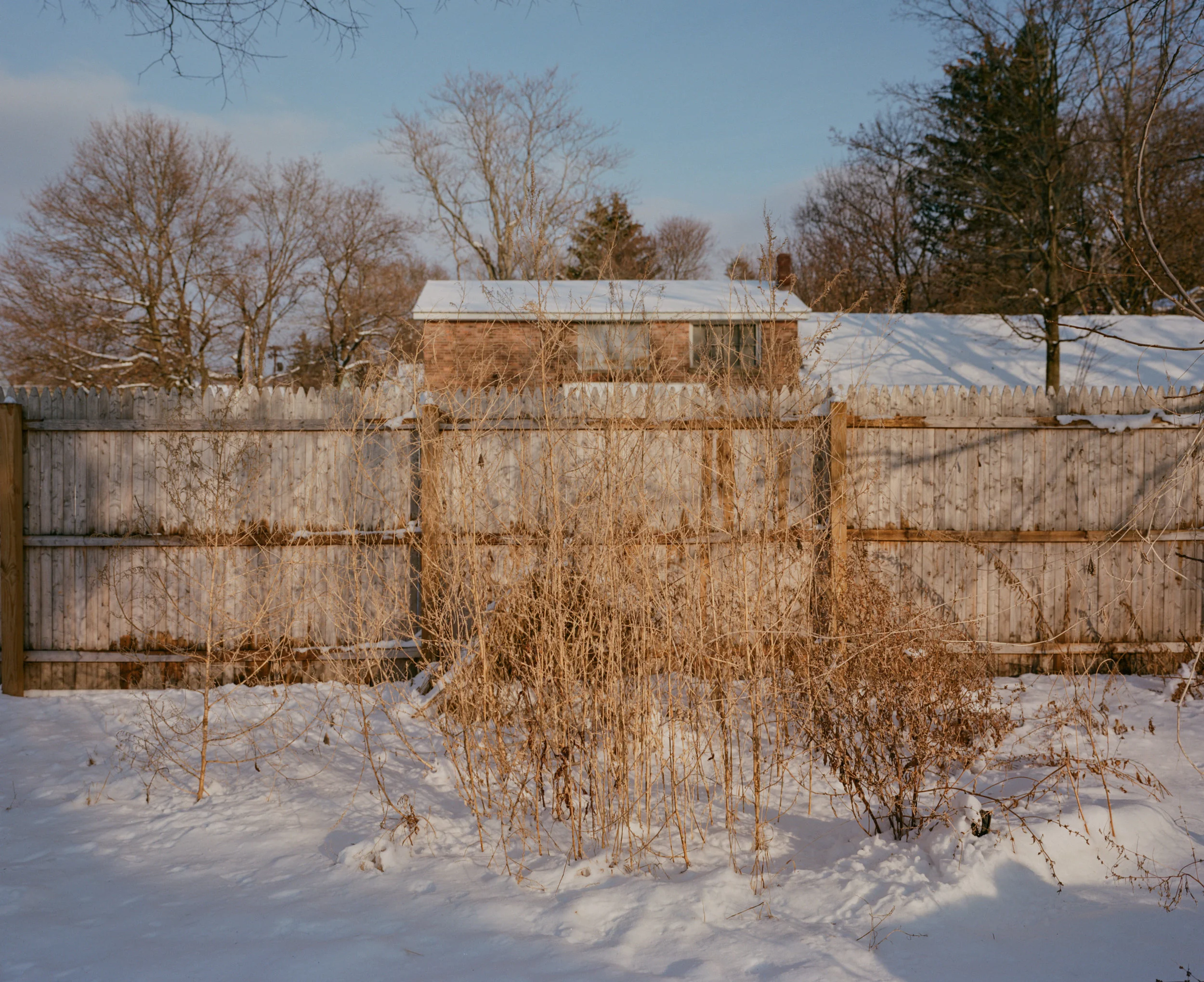 lbraun-4772-P160-04.jpg
