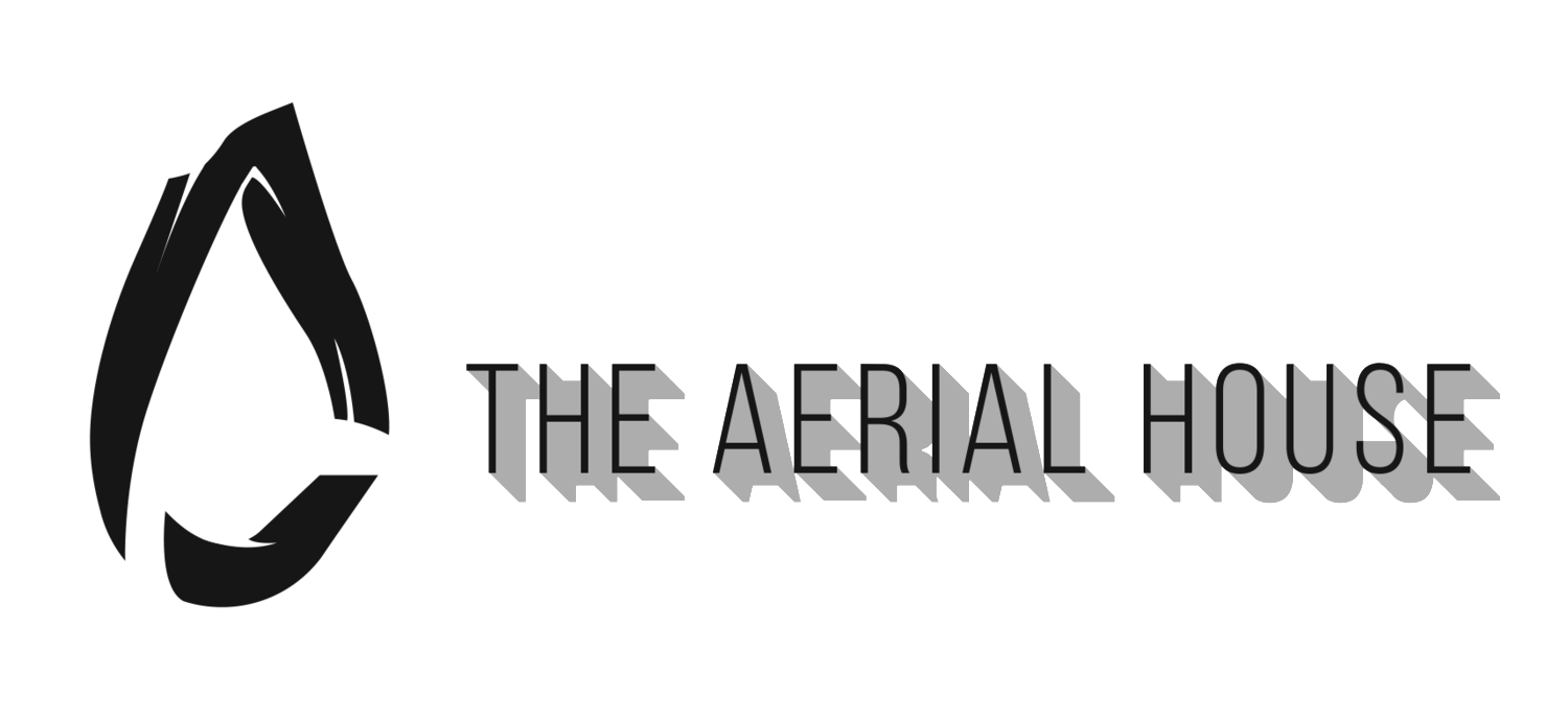 The aerial house