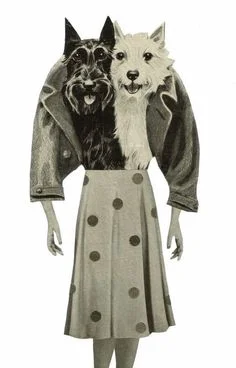 296b8c7b120e2466c518dff079ad37f6--schnauzer-art-fun-dog.jpg