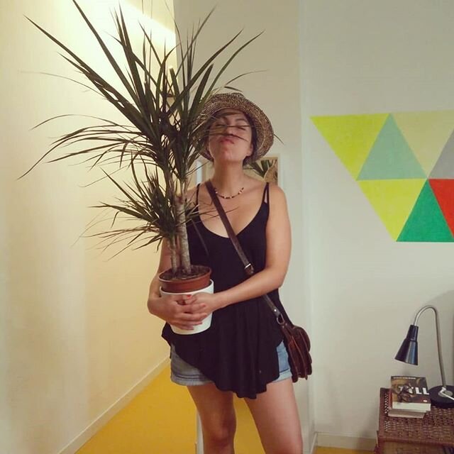 Planta reci&eacute;n adoptada para celebrar nuevas etapas (la desescalada del confinamiento, la llegada del verano y cambios grandes en la vida en general). Yo creo que &eacute;sta s&iacute; NO se nos muere. Tengo fe...no tanto en la humanidad y defi