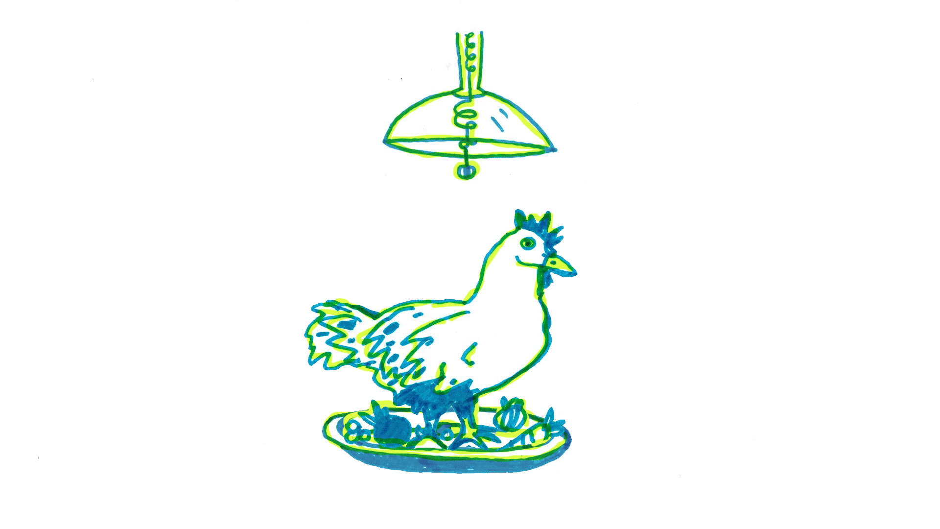 pollo8.gif