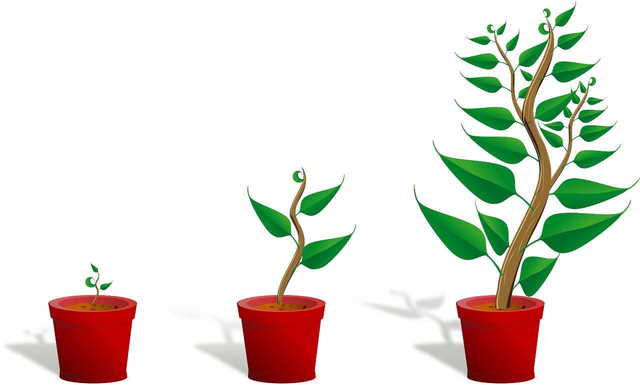 sapling-grow.png