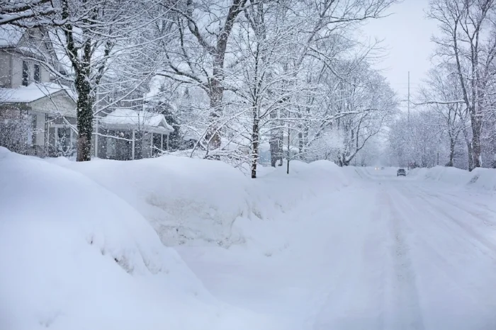 snowy-street.jpg